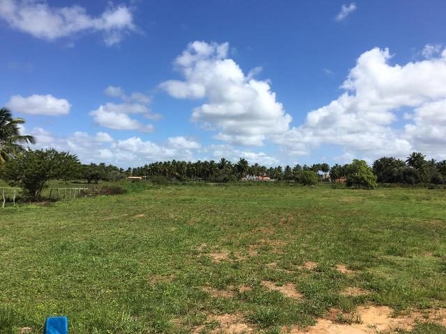 Terreno Rod. dos Naufragos (4)