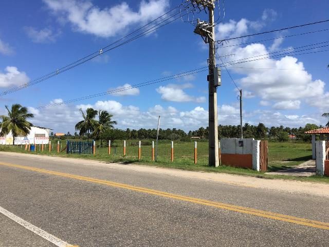 Terreno Rod. dos Naufragos (9)