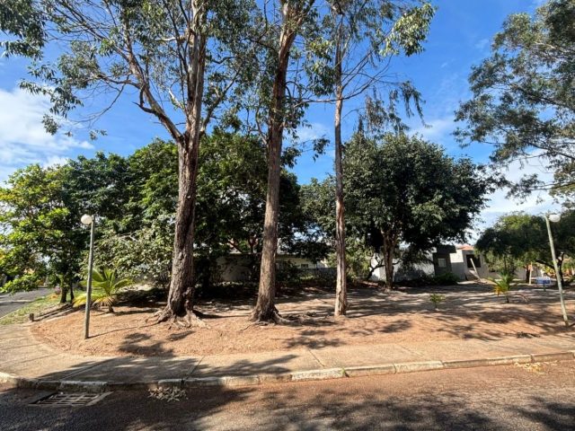 WhatsApp Image 2025-09-17 at 21.19.49 (1)