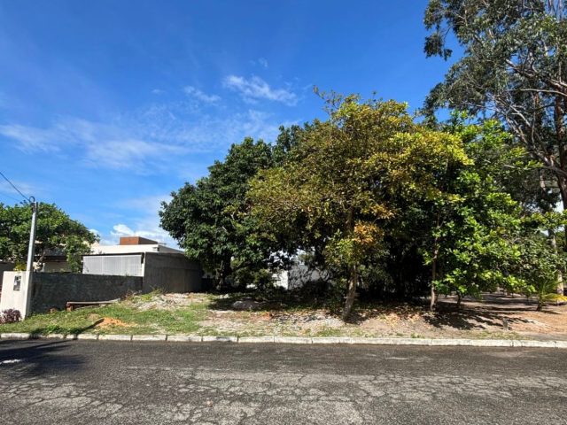 WhatsApp Image 2025-09-17 at 21.19.49