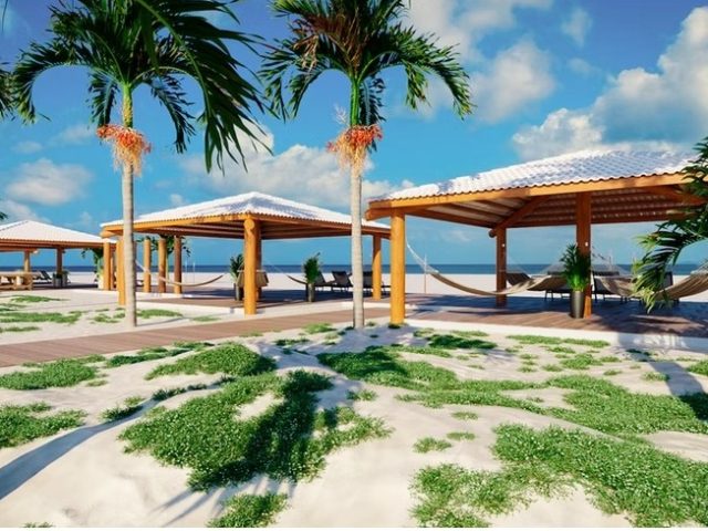 WhatsApp Image 2025-11-03 at 17.24.51