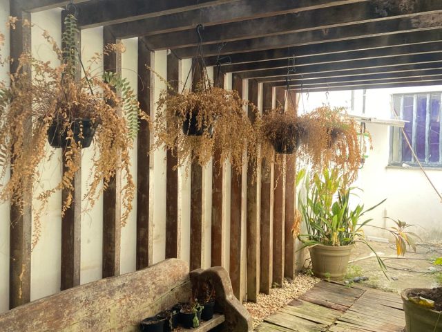 WhatsApp Image 2026-03-20 at 09.41.08